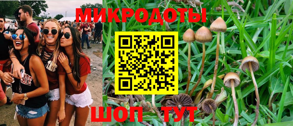 Галлюциногенные грибы MAGIC MUSHROOMS Саяногорск
